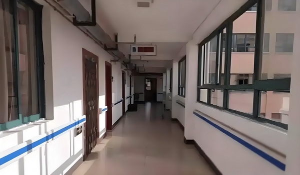 向域世界传奇